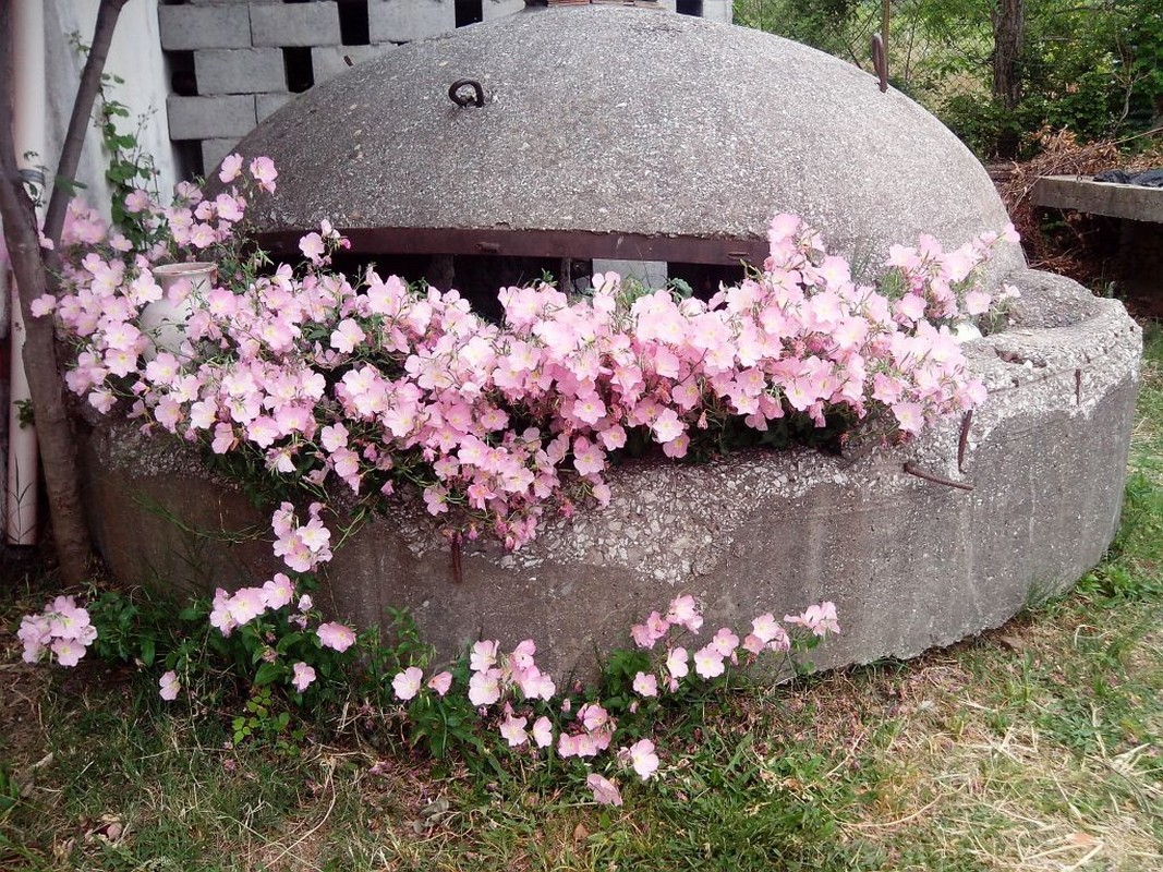 bunker fiorito